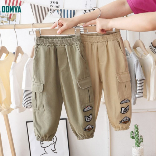 Spring and Autumn Tunic Thin Casual Loose Pants