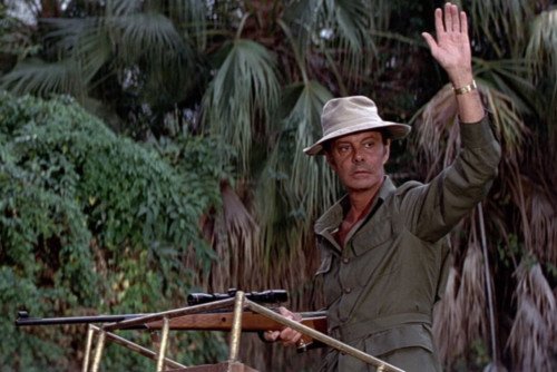 Safari Suits: Practical and Durable Outdoor Wear for Your Next Adventure