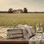Linen Fiber Guide: Properties, Production, and Luxury Fabrics